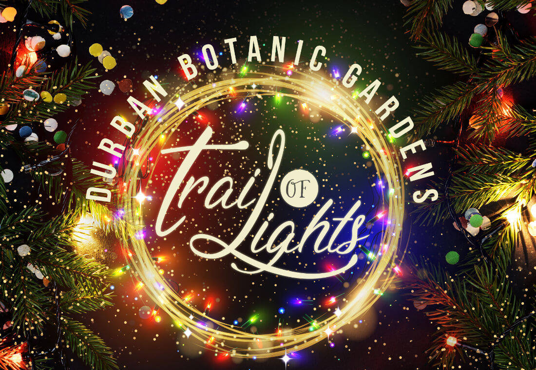 Trail of Lights Durban Botanic Gardens