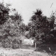 history_02