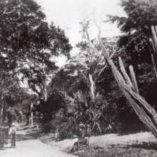 history_03